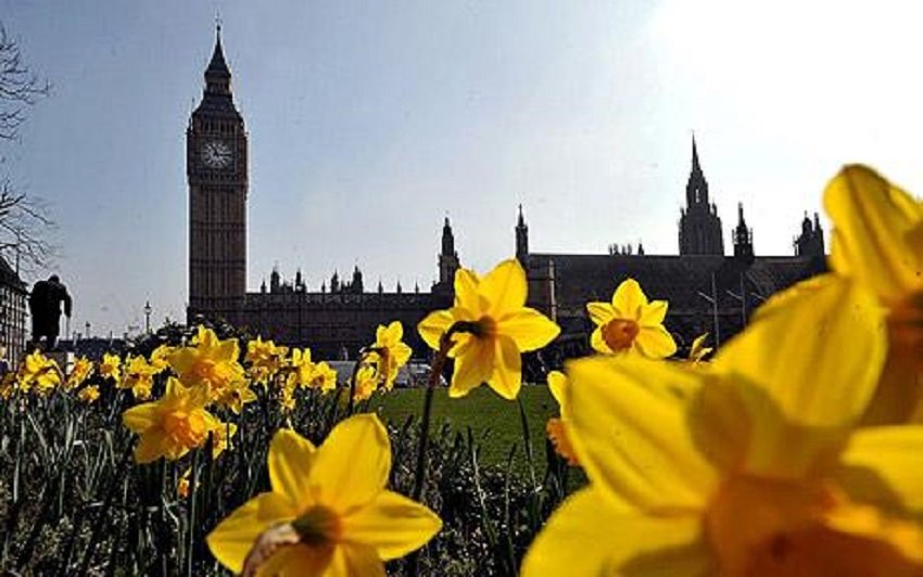 British summer