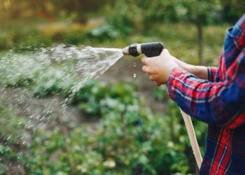 Locsolási tilalom locsolás